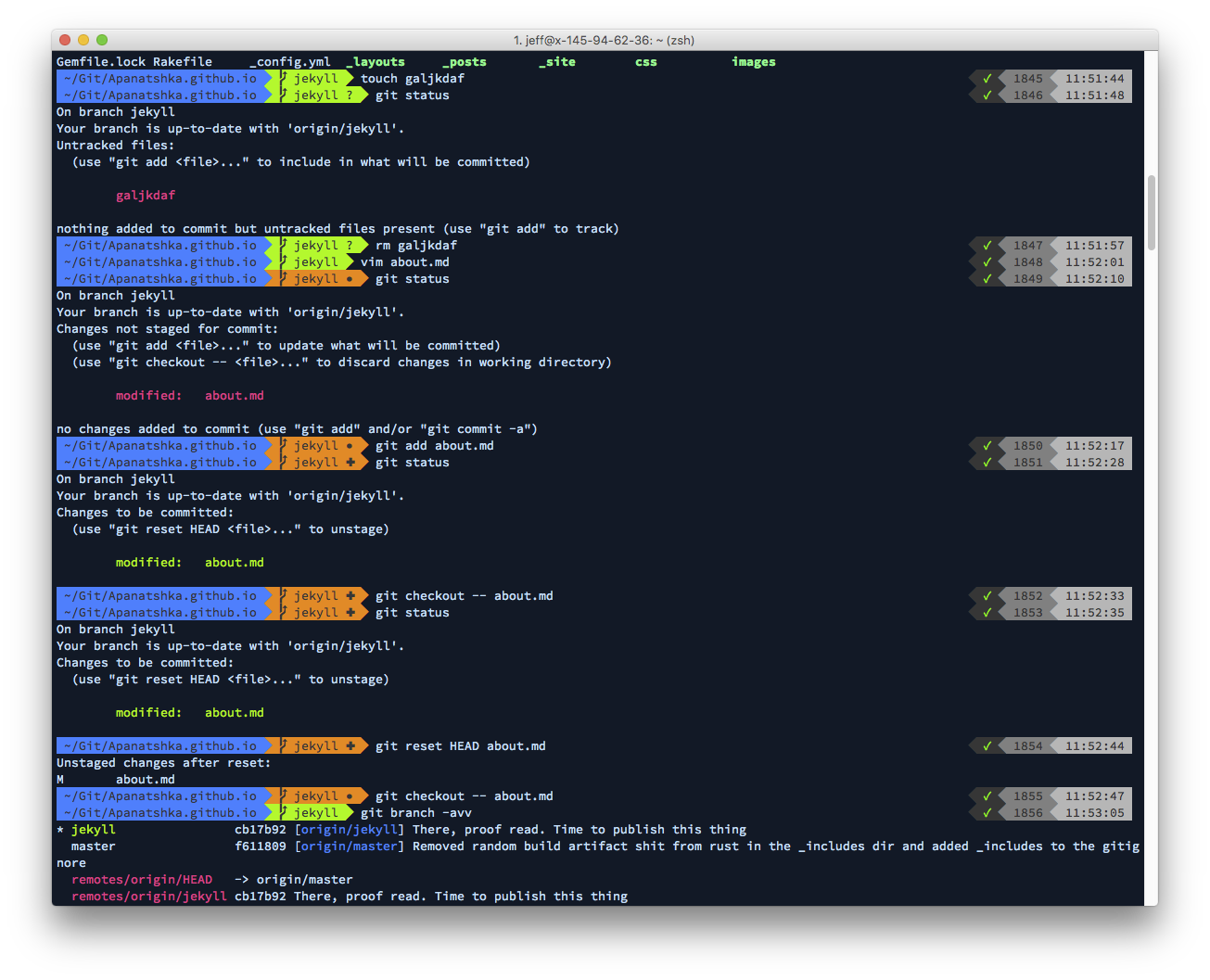 A Zsh terminal, with the powerlevel9k theme (default settings), and the Gogh Aci colour scheme on the font Source Code Pro